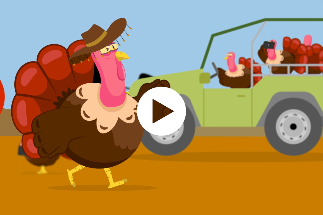 Turkey Song Animated Music Video